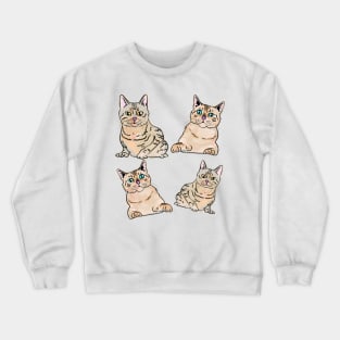 Bengal cat breed pattern Crewneck Sweatshirt